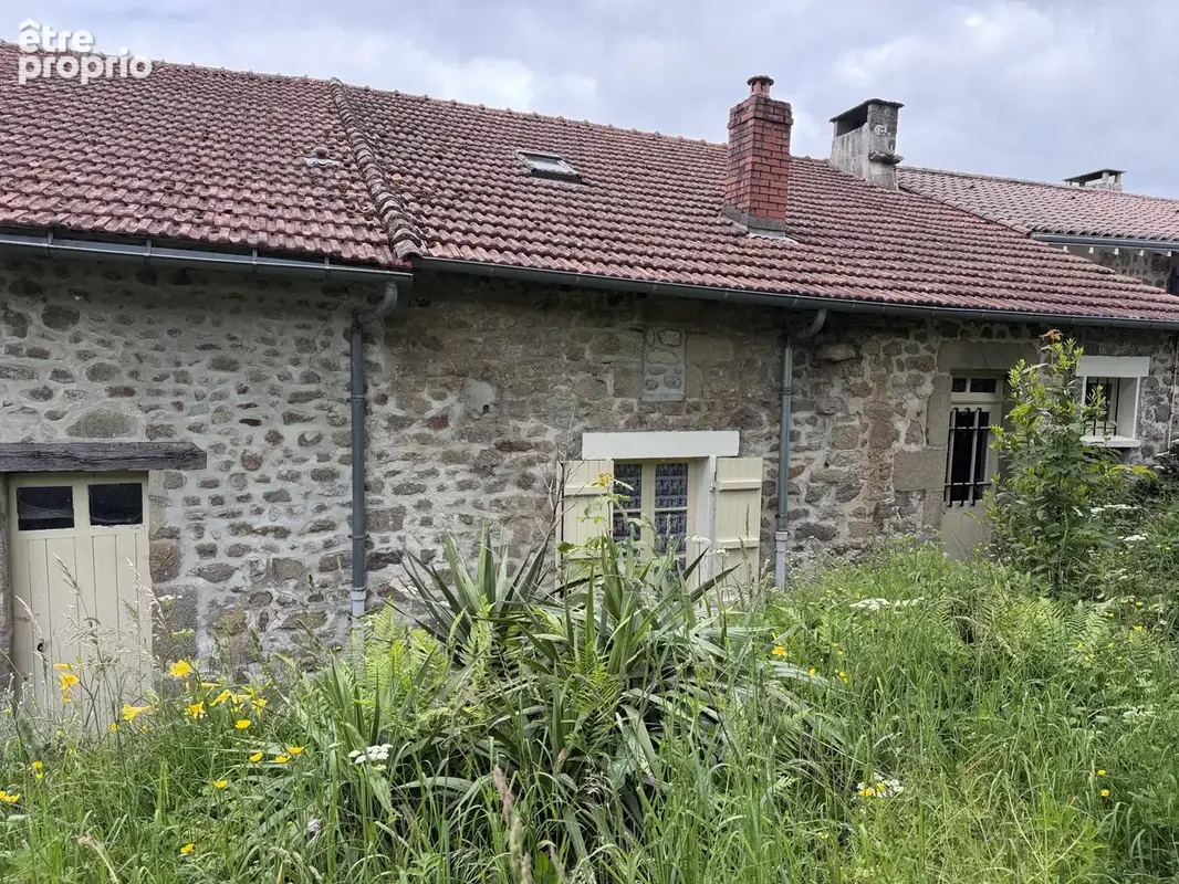 Razès maison en pierre avec grange et jardin - photo 7