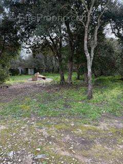 Terrain à BONIFACIO