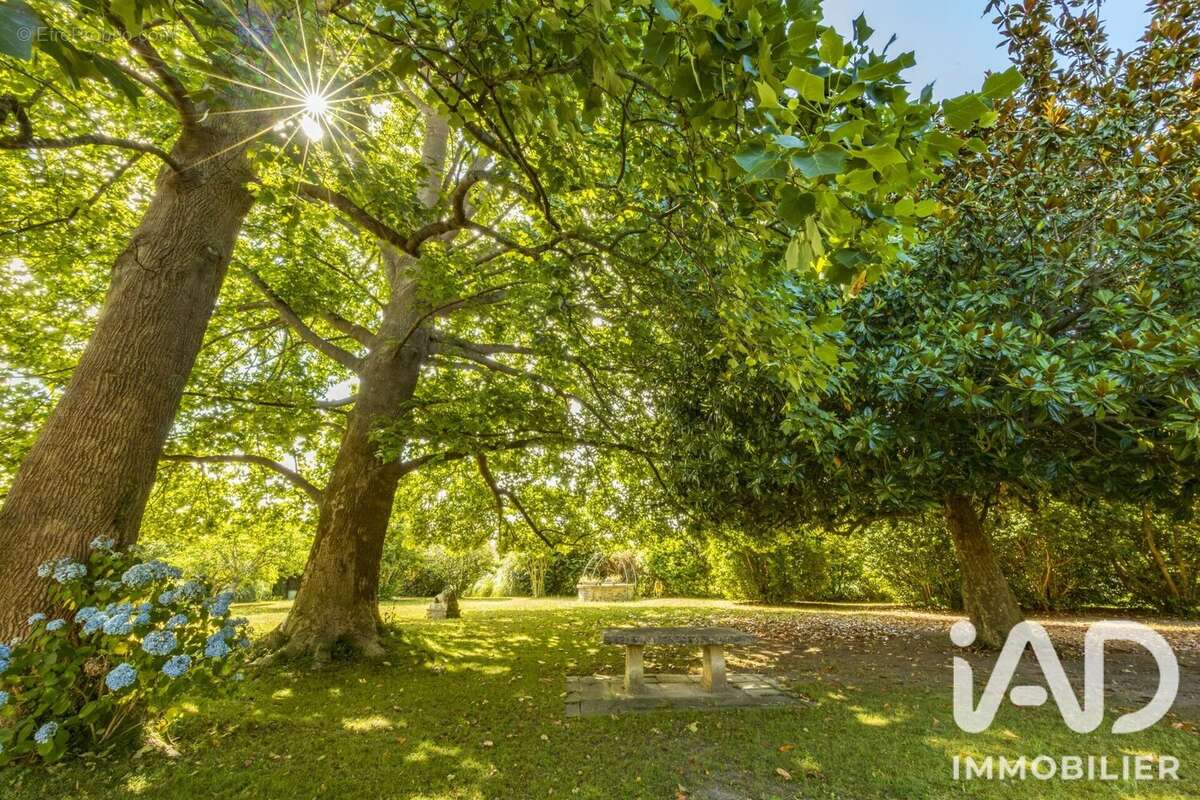 Maison 378 m² à Arcangues  - photo 4