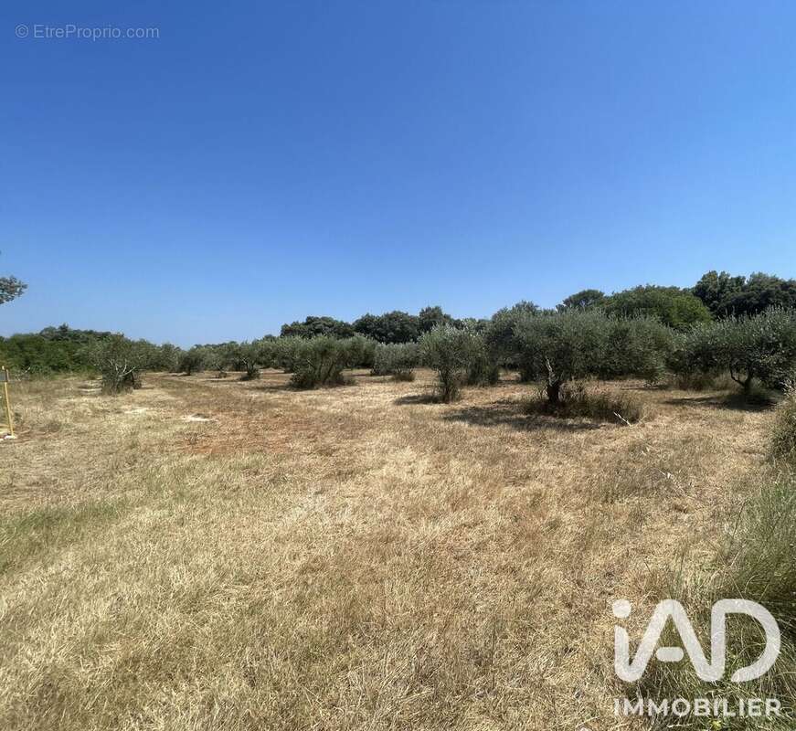 Terrain 1764 m² à Saint-Siffret  - photo 5