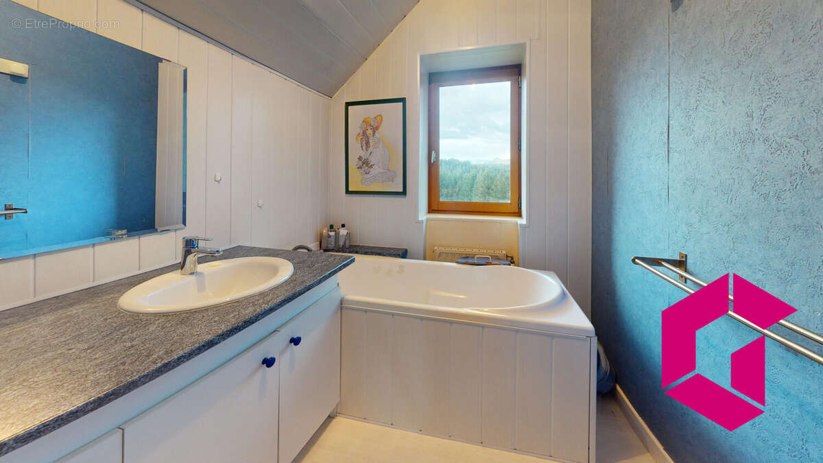 Maison à SAINT-DIDIER-EN-VELAY