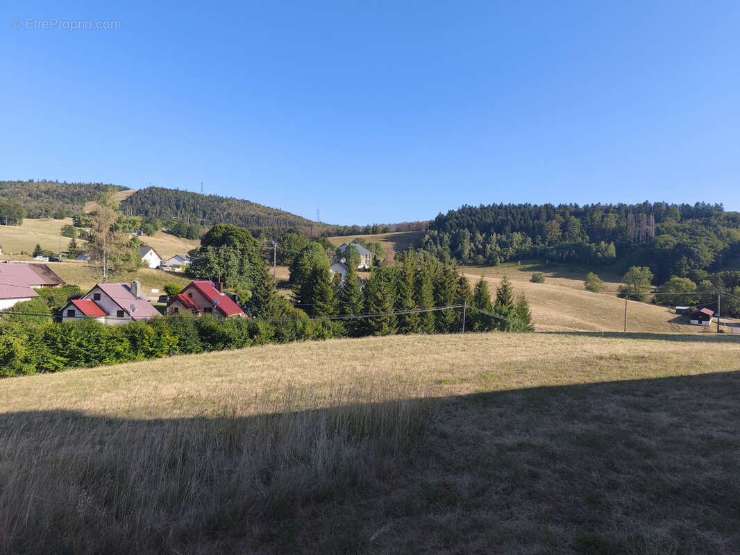 maison de plain pied sur 8700m2 de terrain - photo 2