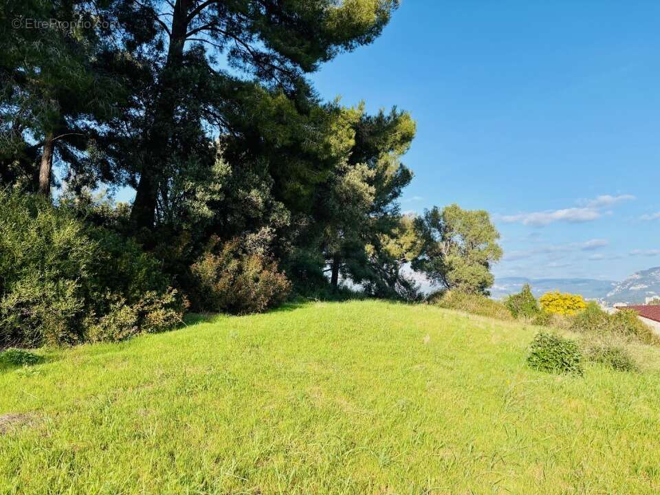 Terrain 410 m² à La Seyne-Sur-Mer  - photo 5