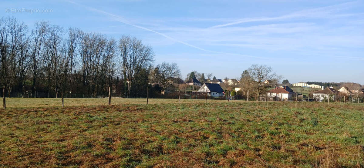 Terrain à ANGEOT