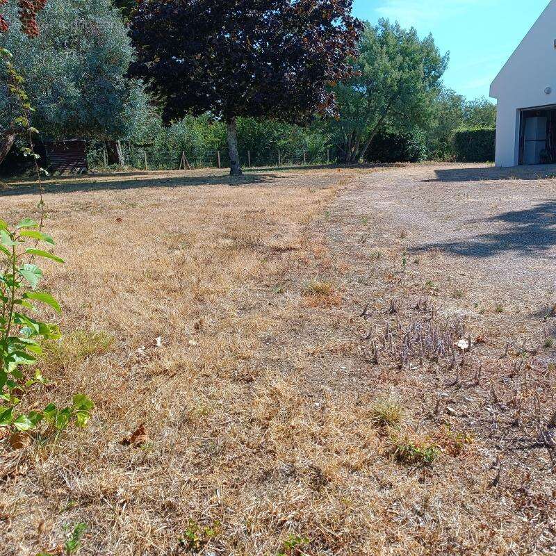 Arzon – Le Monteno  Maison contemporaine rénovée à 300 m du Golfe du Morbihan - photo 9