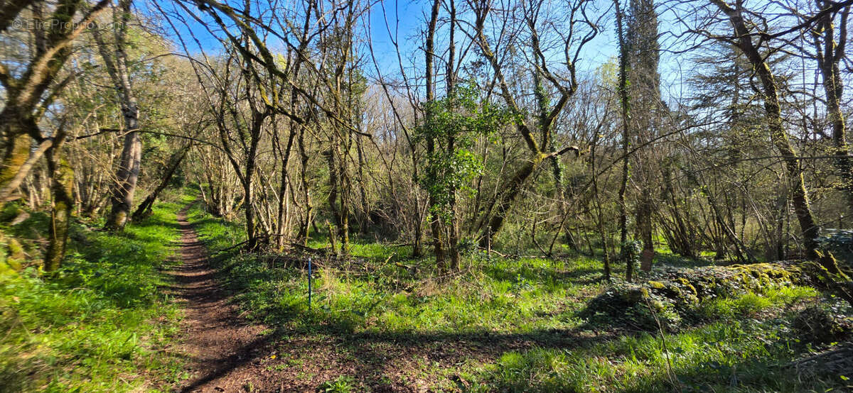 Terrain à ANGLES-SUR-L'ANGLIN
