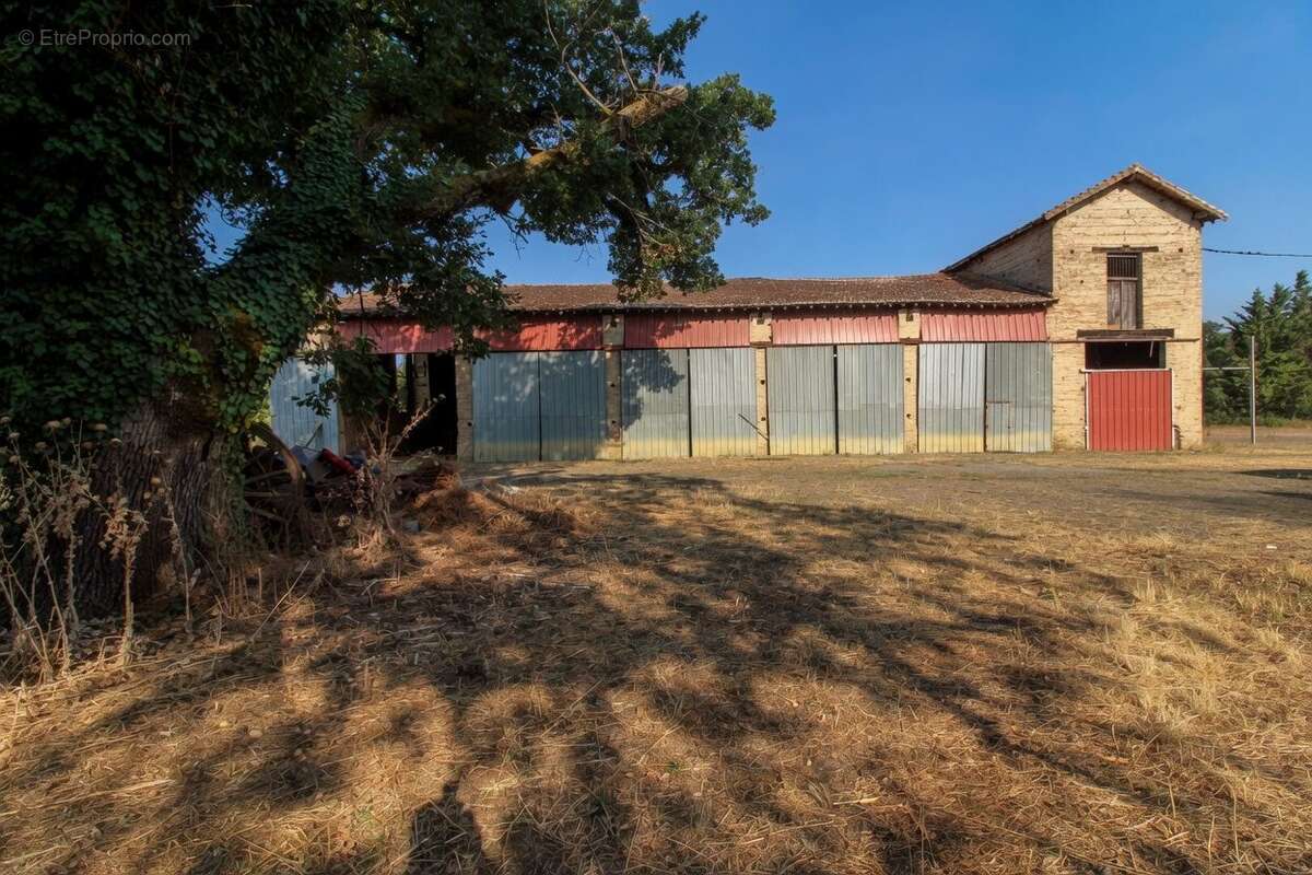 Maison 261 m² à Savenes  - photo 4