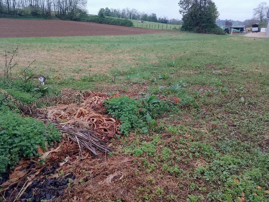 Terrain à ROMAGNIEU