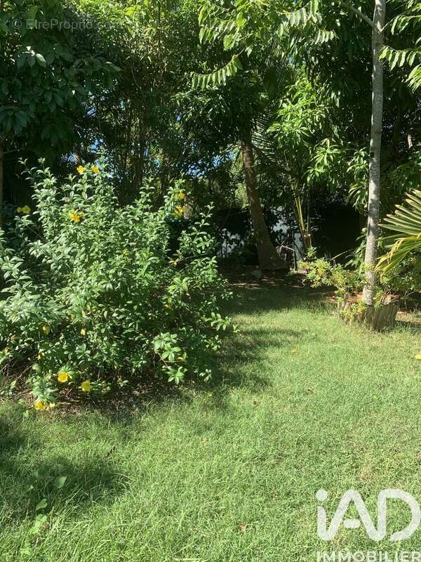 Photo 4 - Maison à LE GOSIER