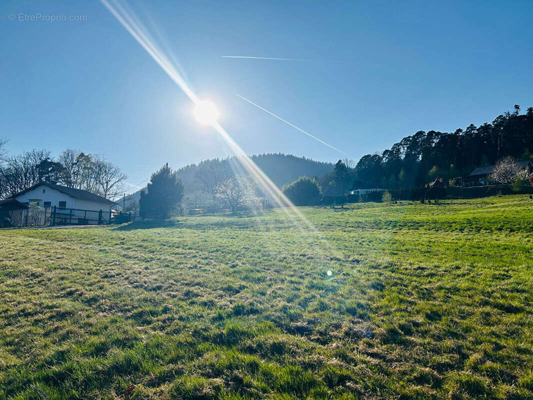 Terrain à SAINT-DIE-DES-VOSGES