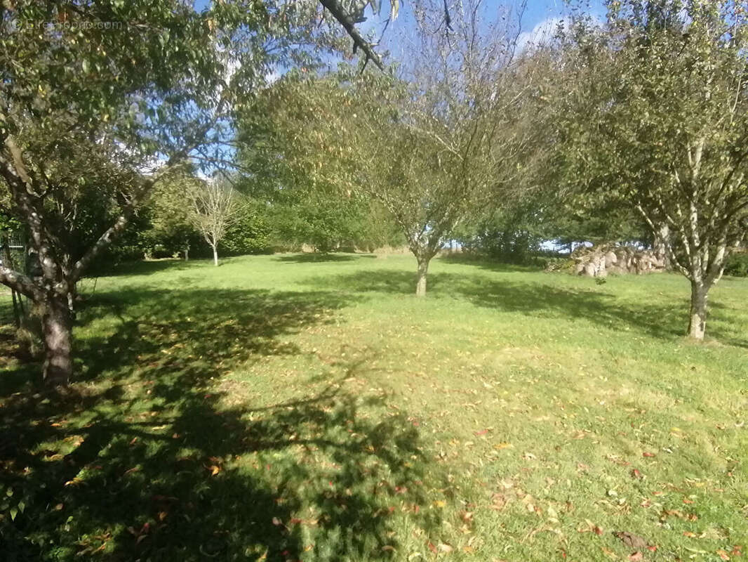Maison à MARFONTAINE