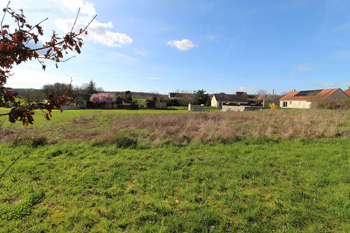 Terrain à MAGNY-MONTARLOT