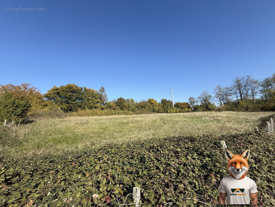 Terrain à SAINT-VIT