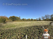 Terrain à SAINT-VIT