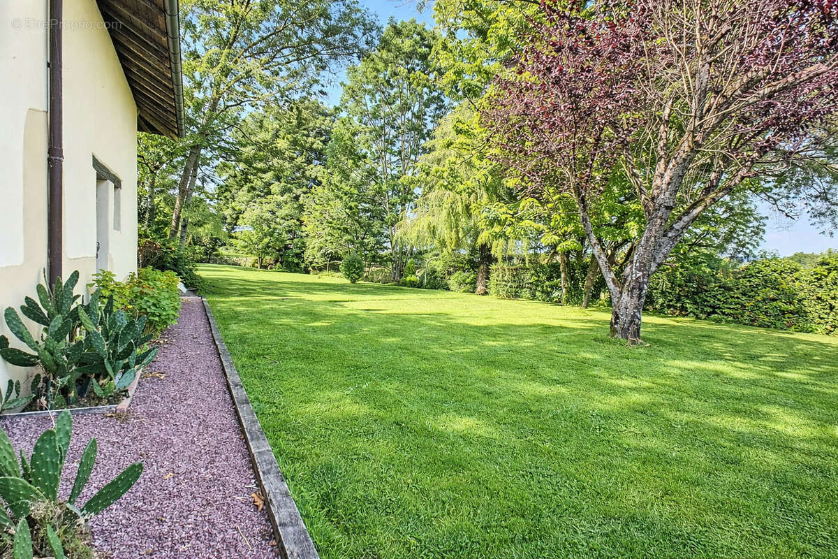 Maison à MONTREVEL-EN-BRESSE