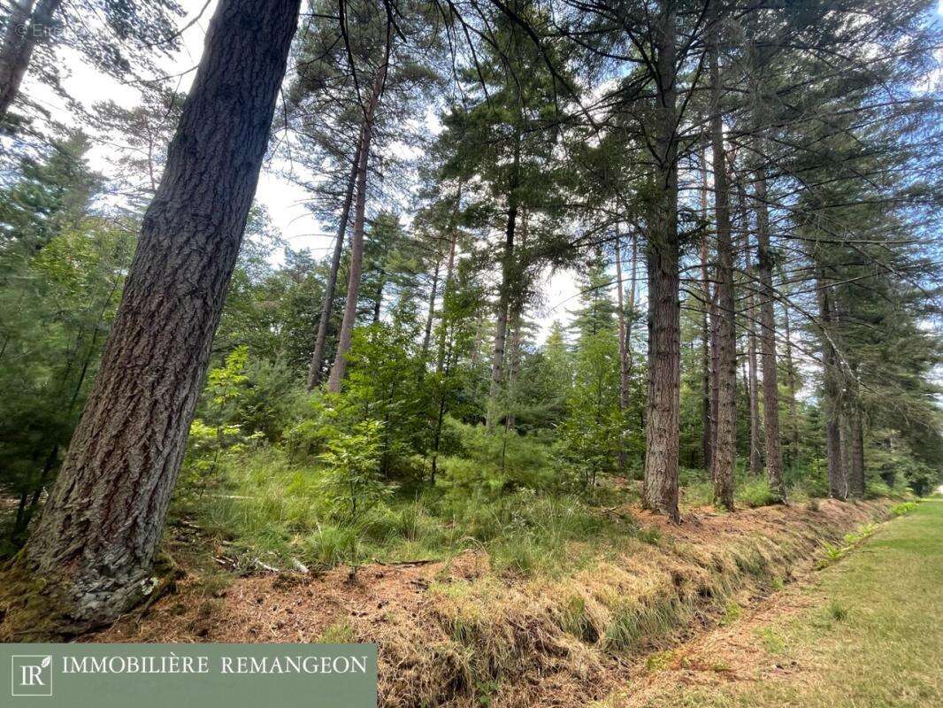 Maison à NEUVY-SUR-BARANGEON