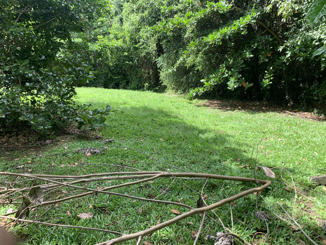 Terrain à LES TROIS-ILETS