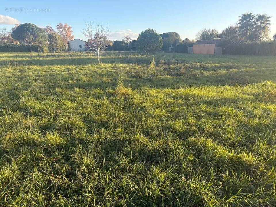 Terrain à POMPIGNAN