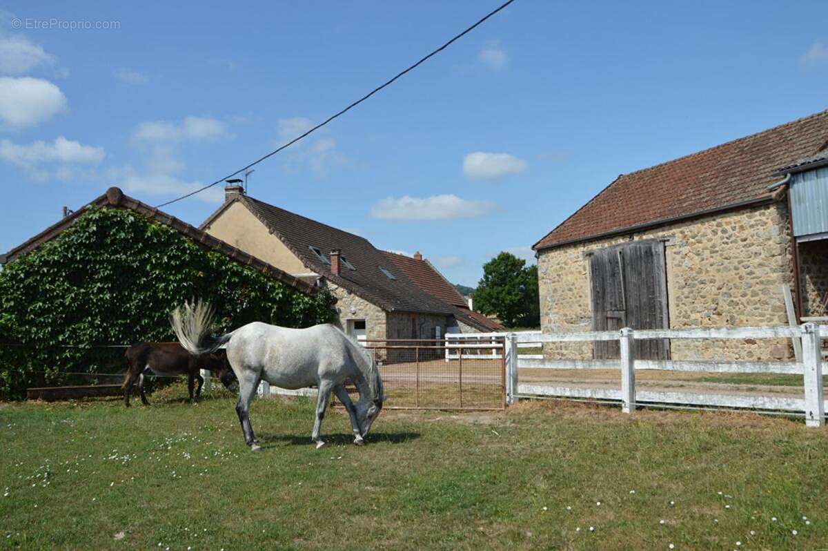 Propriété avec 2 maisons, dépendances et terrain sans vis-à-vis Montmort 260 m2 - photo 7
