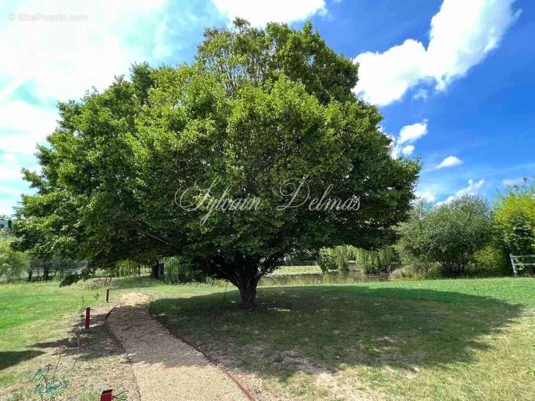 Propriete à vendre 45 pièces proche de TOURS (37) - photo 8