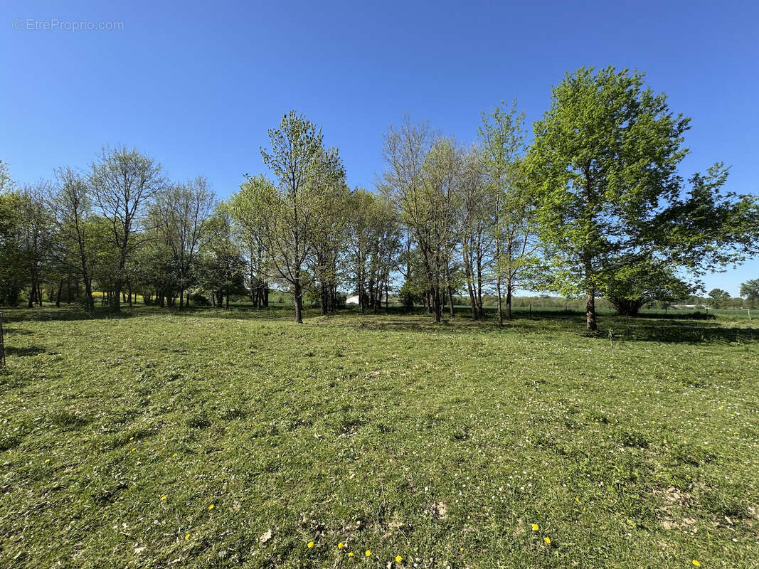 Maison à CASTELMORON-SUR-LOT