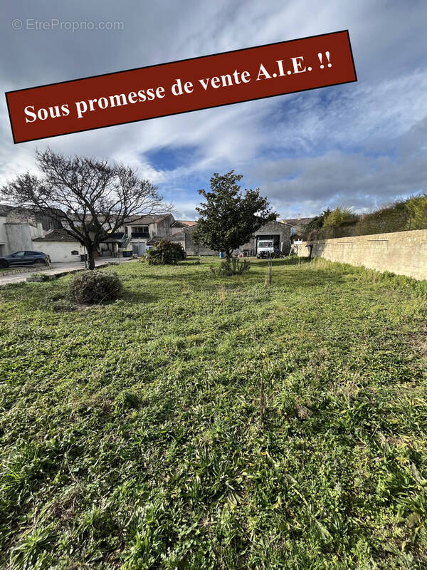 Terrain à PRADES-LE-LEZ