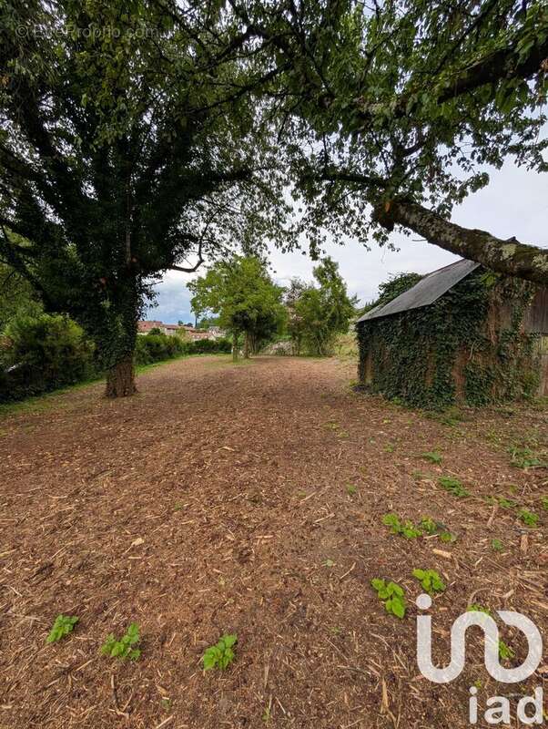 Photo 7 - Terrain à VIF