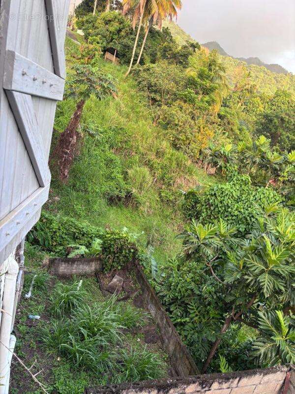 Appartement à LE MORNE-VERT