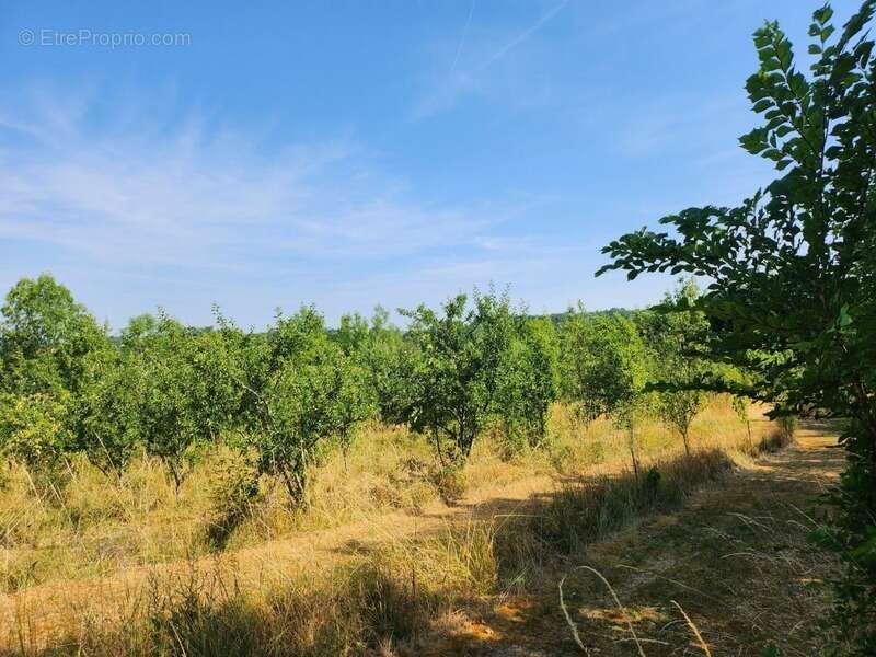 Belle longère avec dépendances - 6 pièces -  BEAUMONTOIS EN PERIGORD (24) - photo 14