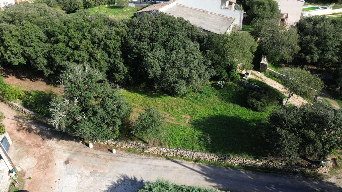 Terrain à PUECHABON