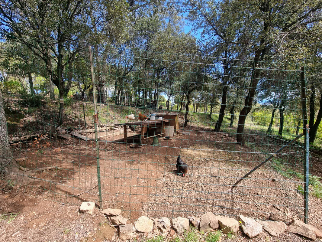 Maison à LAROQUE-DES-ALBERES