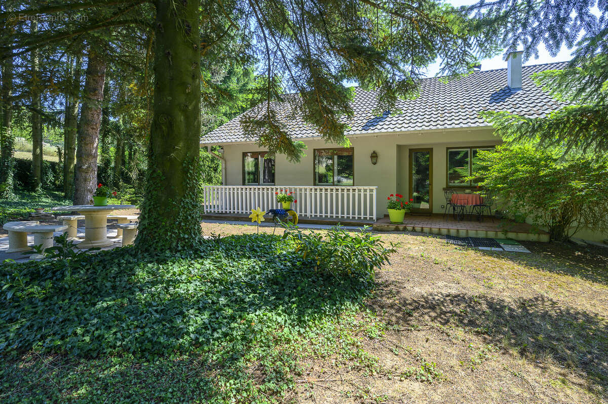 Propriété d'exception sur les hauteurs de Morschwiller (67350) 140 m2 habitables sur 41,77 ares de terrain - photo 16