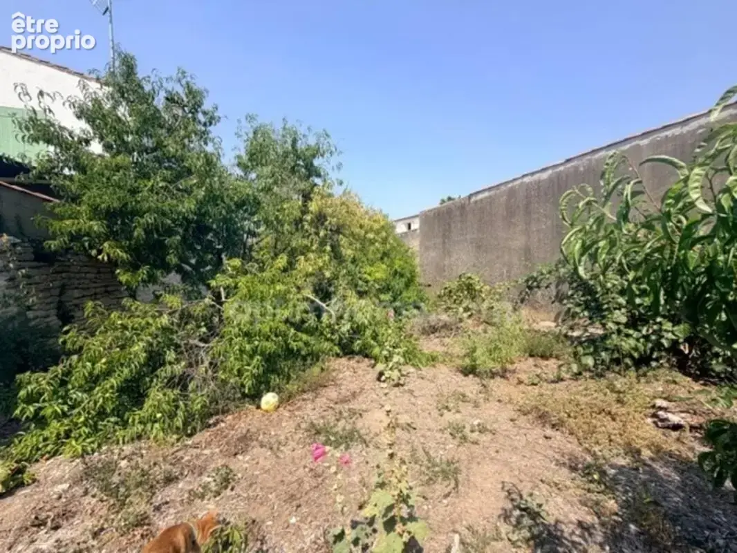 Ensemble immobilier sur terain de 600m2 - LE BOIS PLAGE EN RE (17) - photo 4