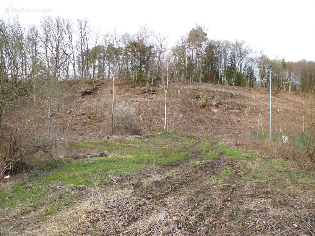Terrain à RAON-L&#039;ETAPE