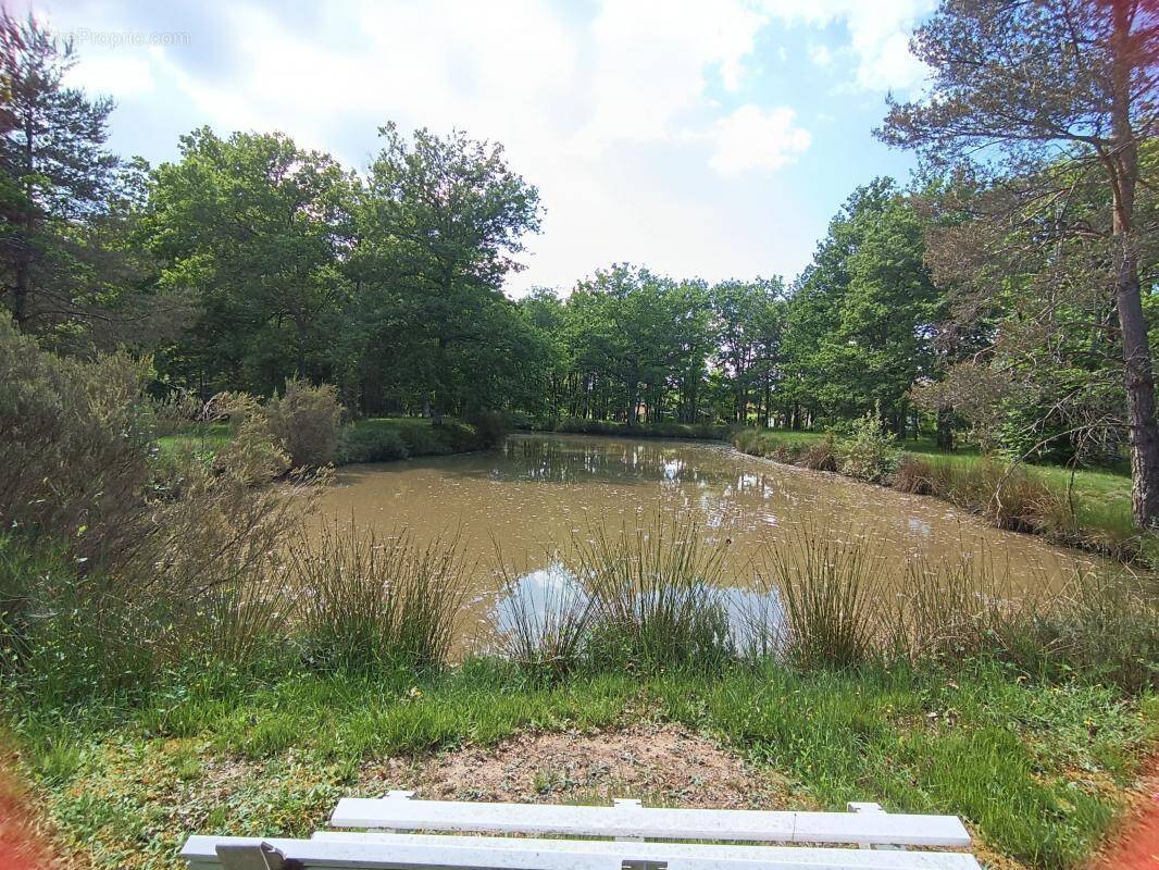 Maison à LIGNY-LE-RIBAULT