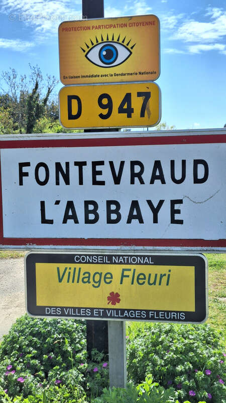 Saumur/chinon - photo 4
