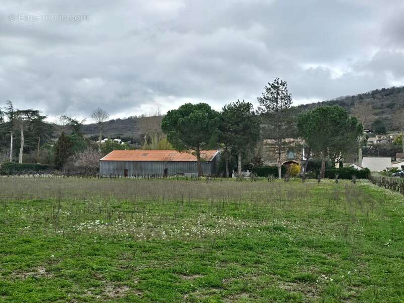 Domaine viticole 180 m² + dépendances + hangar – 6 754 m² – 15 min Carcassonne / Limoux - photo 7