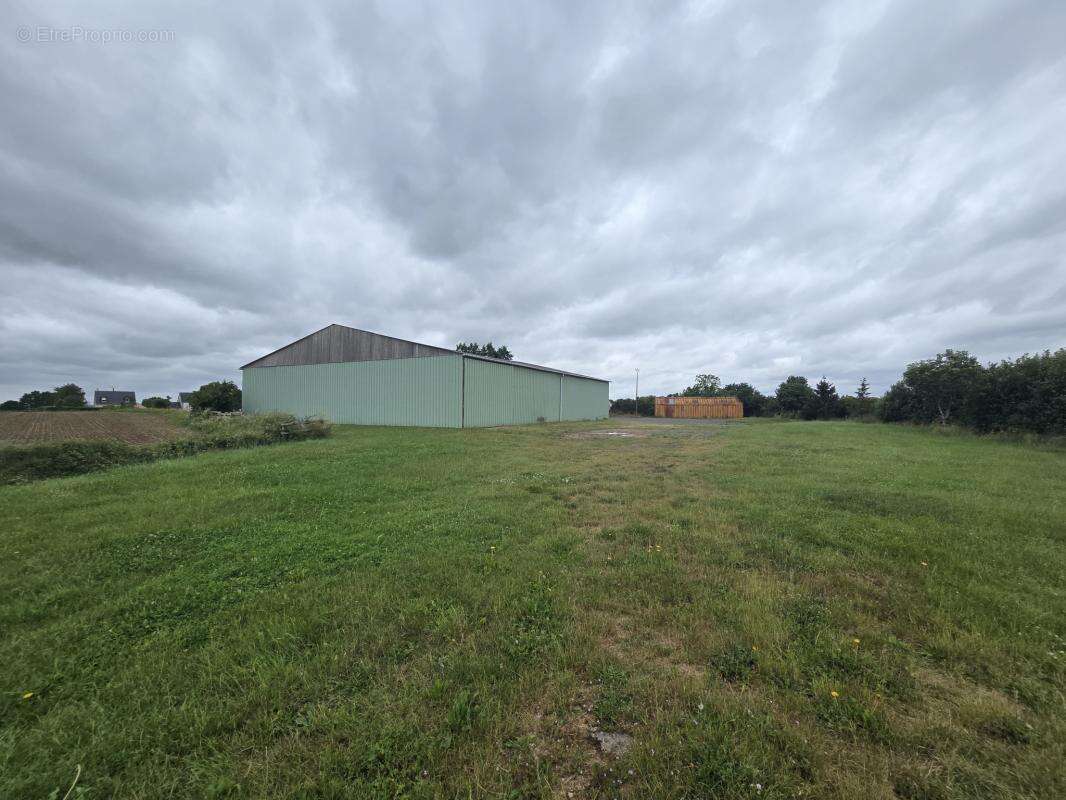 Hangar de 750 m2 - photo 4