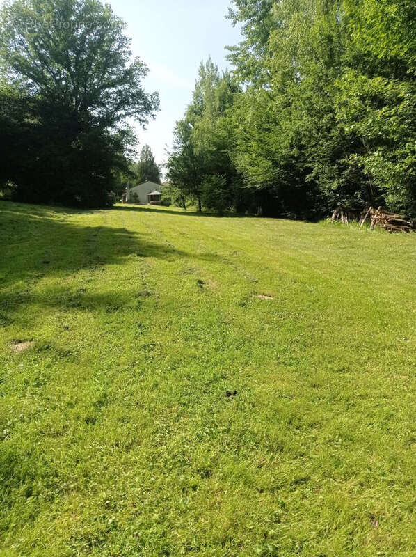 Maison à NEUFMAISONS