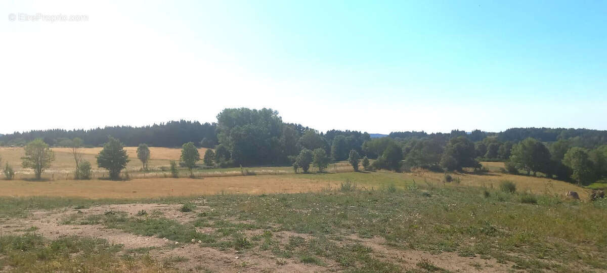 TERRAIN + MAISON à LAPTE (Parcelle de 1171m²) REF 767 - photo 2