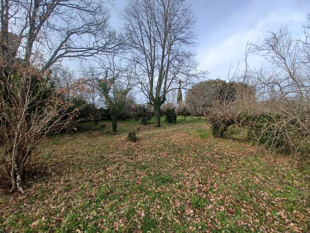 Photo 1 - Terrain à VENES