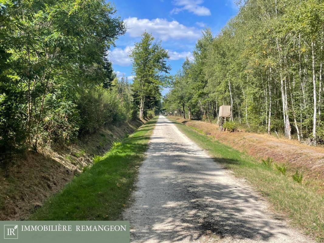 Maison à NEUVY-SUR-BARANGEON