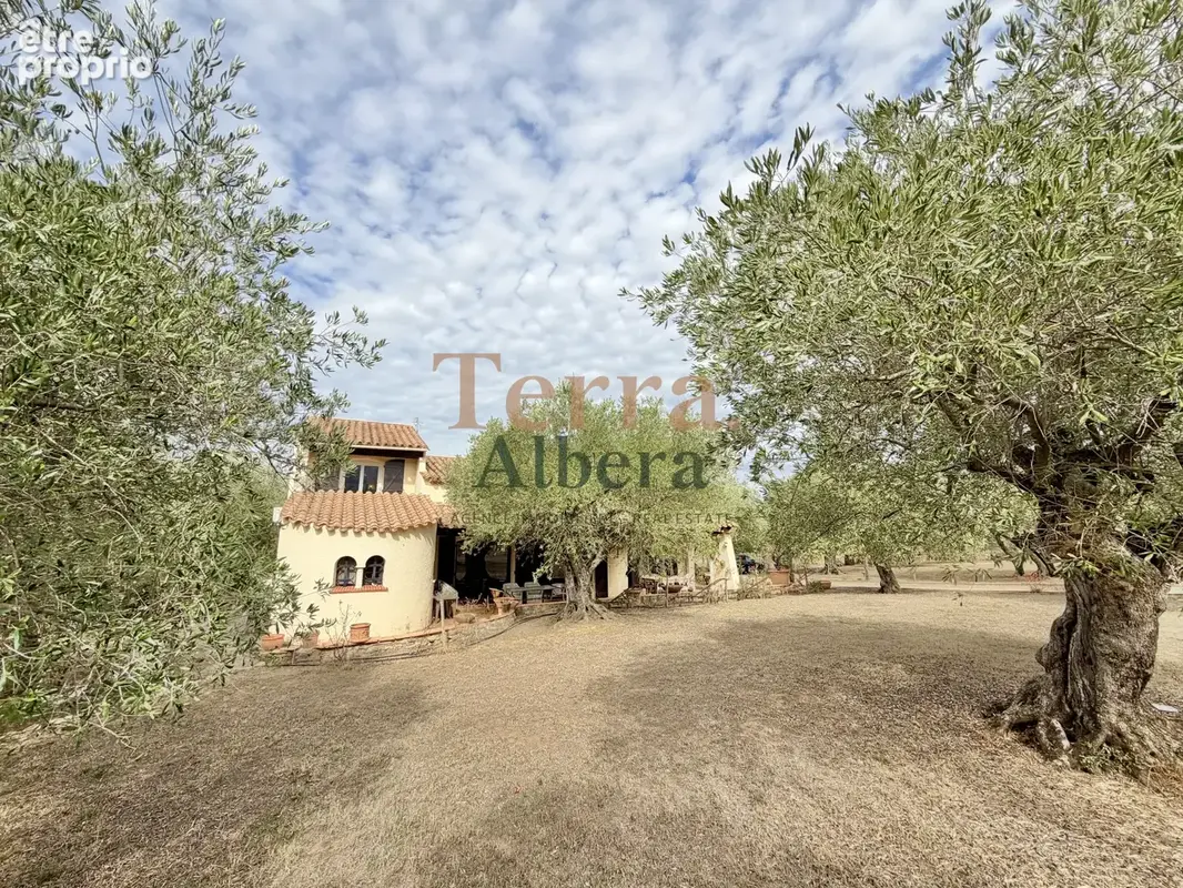 Le Boulou — Propriété au calme, oliveraie et accès rivière - photo 16