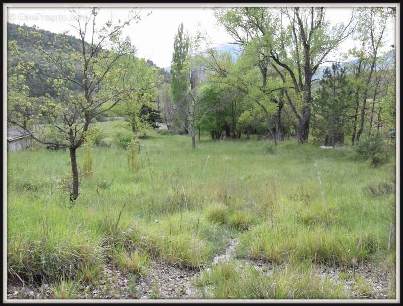 Maison à CASTELLANE