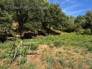 Photo 1 - Terrain à TARADEAU