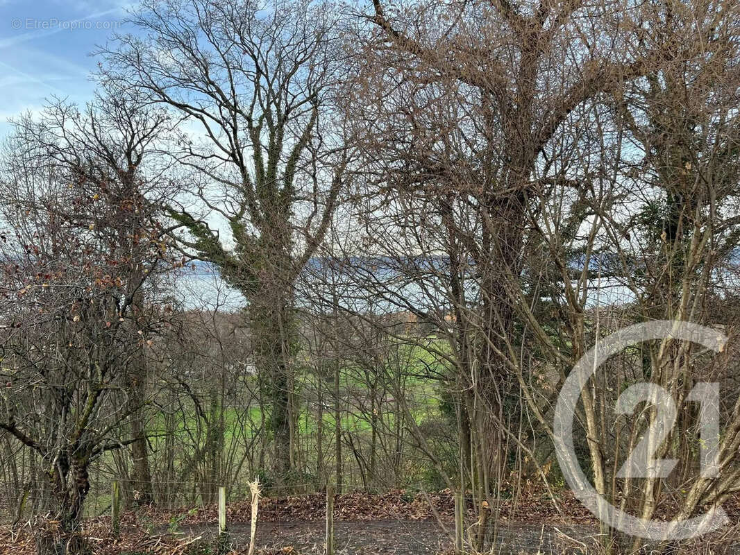 Terrain à MAXILLY-SUR-LEMAN