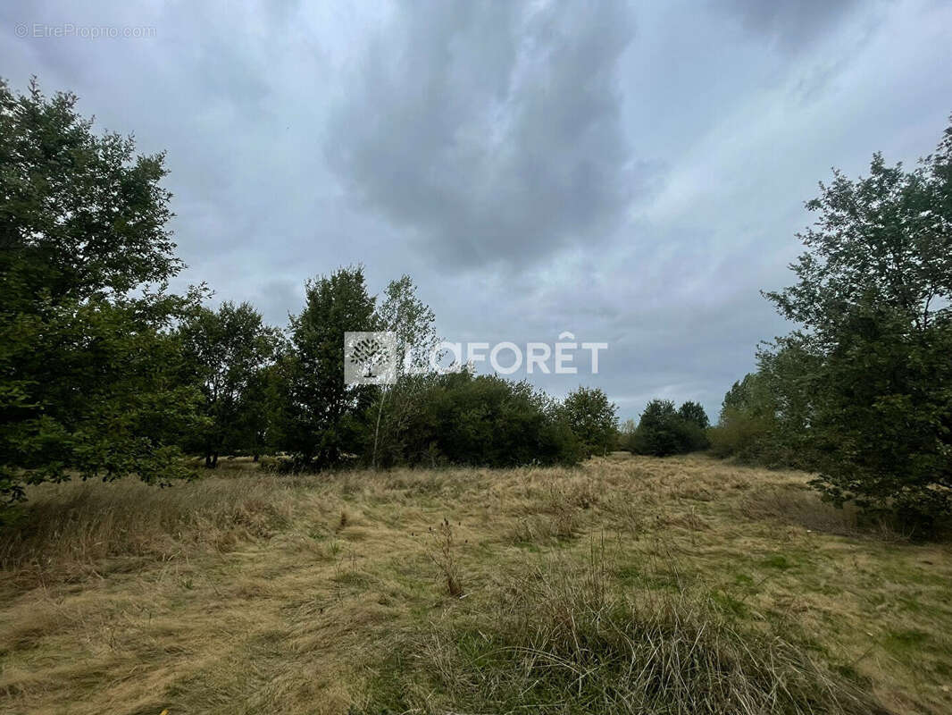Terrain à LA VILLE-DIEU-DU-TEMPLE