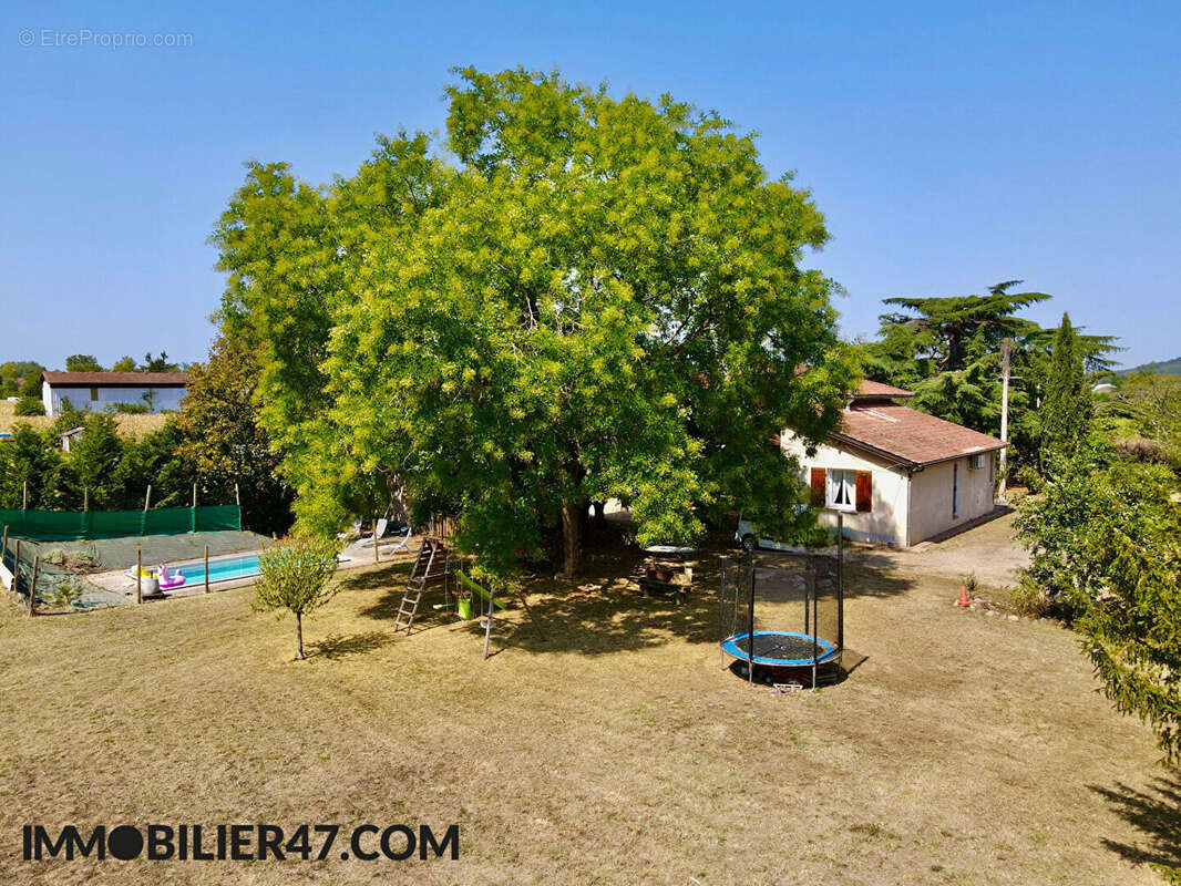 Villa traditionnelle avec piscine - photo 3
