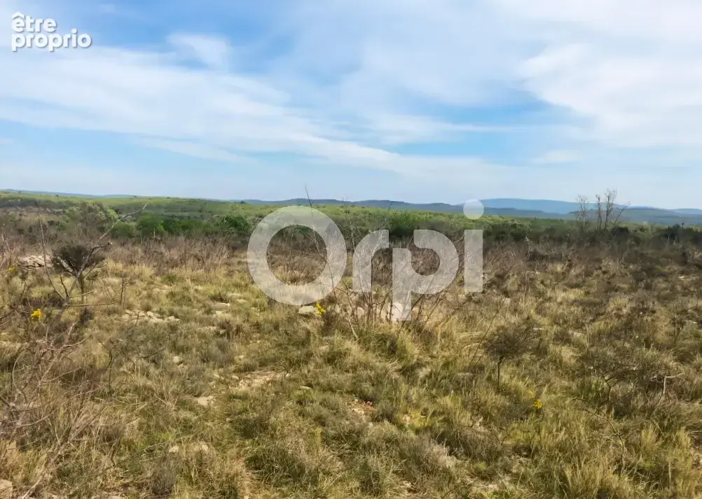 Terrain non constructible 21 025 m² - photo 3