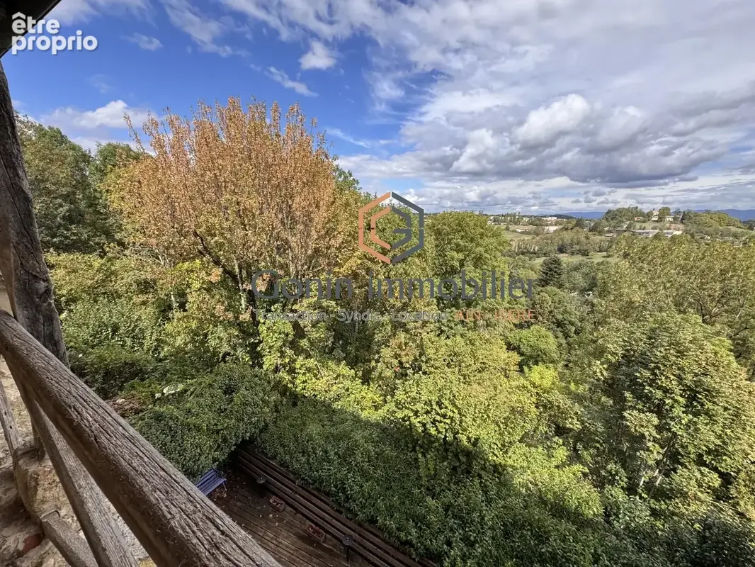 Pérouges — Demeure d'exception en pierre avec jardin, terrasse et accès au chemin de ronde - photo 14